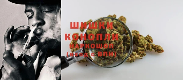 соль курить ск Белокуриха