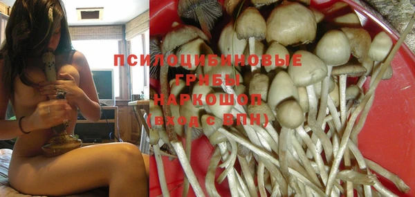соль курить ск Белокуриха