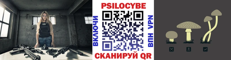 Купить  Данилов  Галлюциногенные грибы ЛСД 